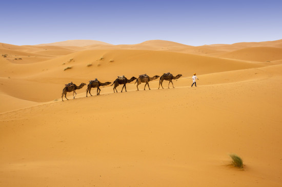 Путешествие в Марокко